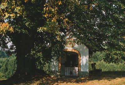 Urlaub Steinhof - Bayerischer Wald