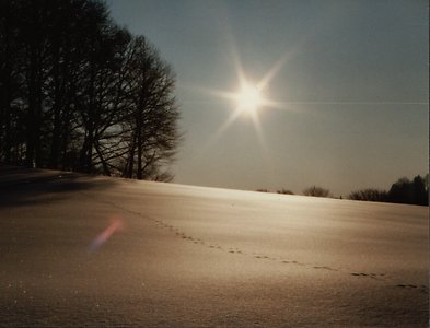 Urlaub Steinhof - Bayerischer Wald