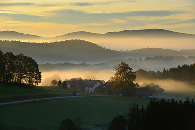 Urlaub Steinhof - Bayerischer Wald