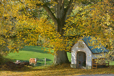 Urlaub Steinhof - Bayerischer Wald