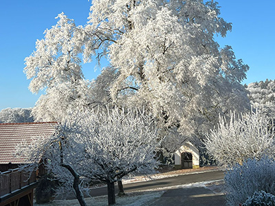 Urlaub Steinhof - Bayerischer Wald