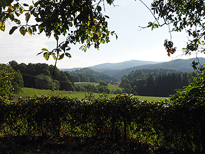 Urlaub Steinhof - Bayerischer Wald