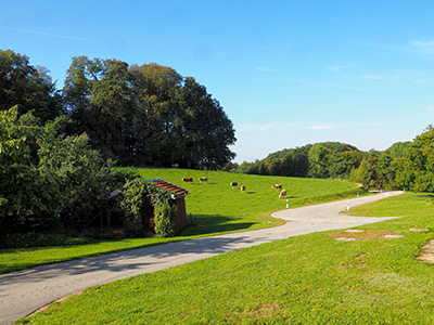 Urlaub Steinhof - Bayerischer Wald