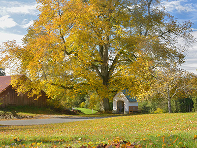 Urlaub Steinhof - Bayerischer Wald