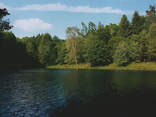 Urlaub am See im Bayerischen Wald